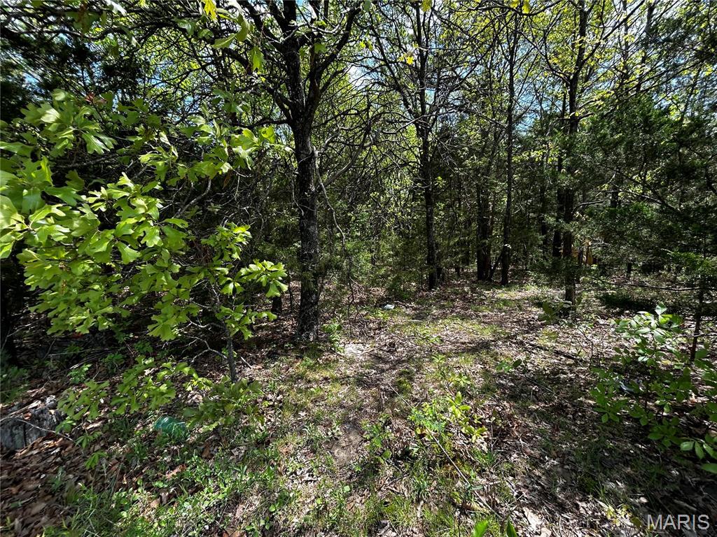 Homes for sale in Lonedell, MO | 0 Hwy 47, Lonedell, MO 63060 | MLS# MIS25027318