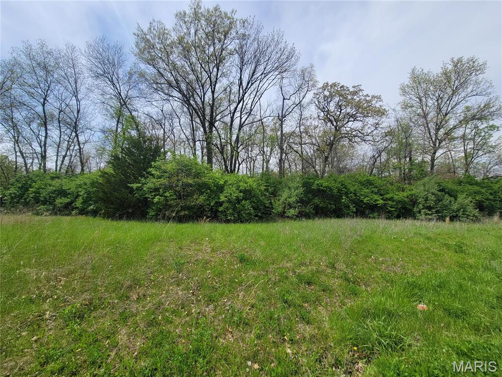 Homes for sale in Foley, MO | 160 Widgeon Ln, Foley, MO 63347 | MLS# MIS25027486