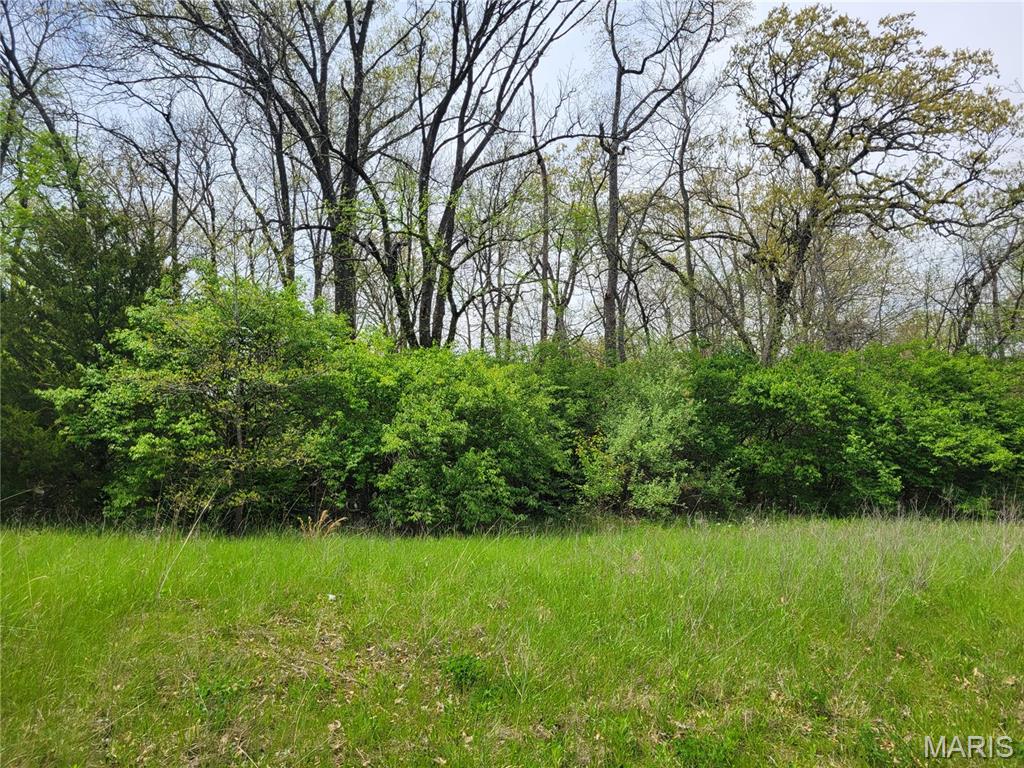 Homes for sale in Foley, MO | 160 Widgeon Ln, Foley, MO 63347 | MLS# MIS25027486