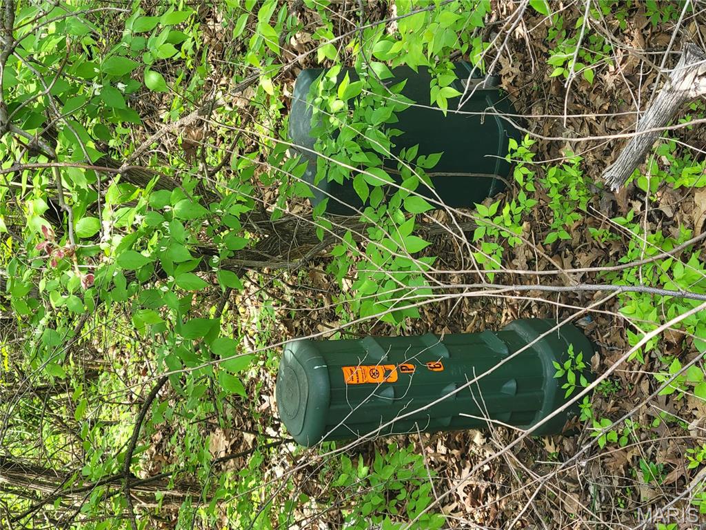 Homes for sale in Foley, MO | 160 Widgeon Ln, Foley, MO 63347 | MLS# MIS25027486