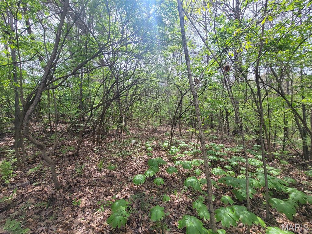 Homes for sale in Foley, MO | 160 Widgeon Ln, Foley, MO 63347 | MLS# MIS25027486