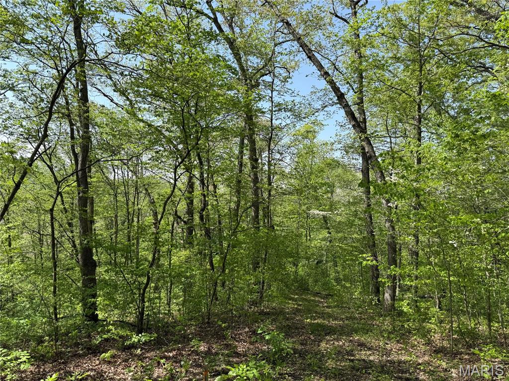 Homes for sale in Hermann, MO | 1 Summit Lane, Hermann, MO 65041 | MLS# MIS25027933