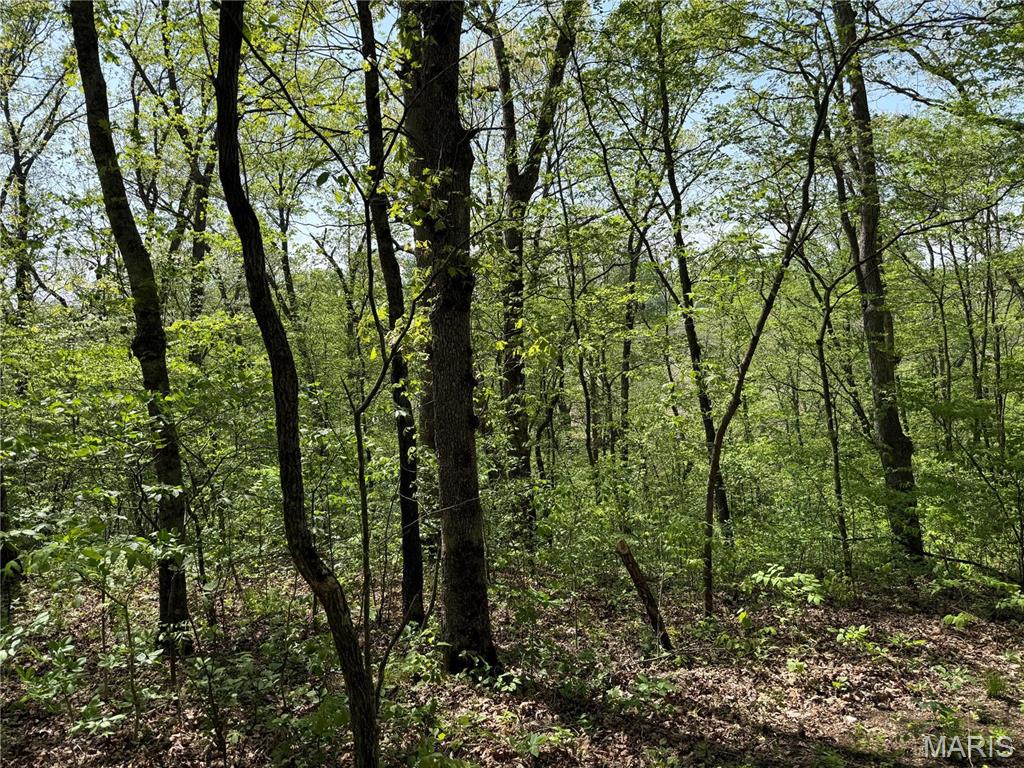 Homes for sale in Hermann, MO | 1 Summit Lane, Hermann, MO 65041 | MLS# MIS25027933