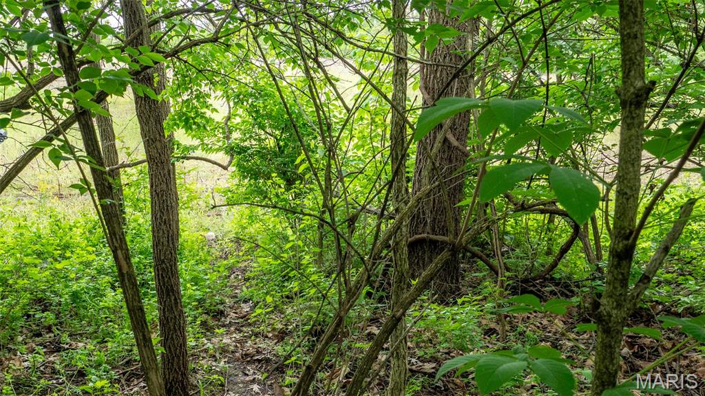 Homes for sale in Elsberry, MO | 0 Pebble Creek Dr, Elsberry, MO 63343 | MLS# MIS25028677