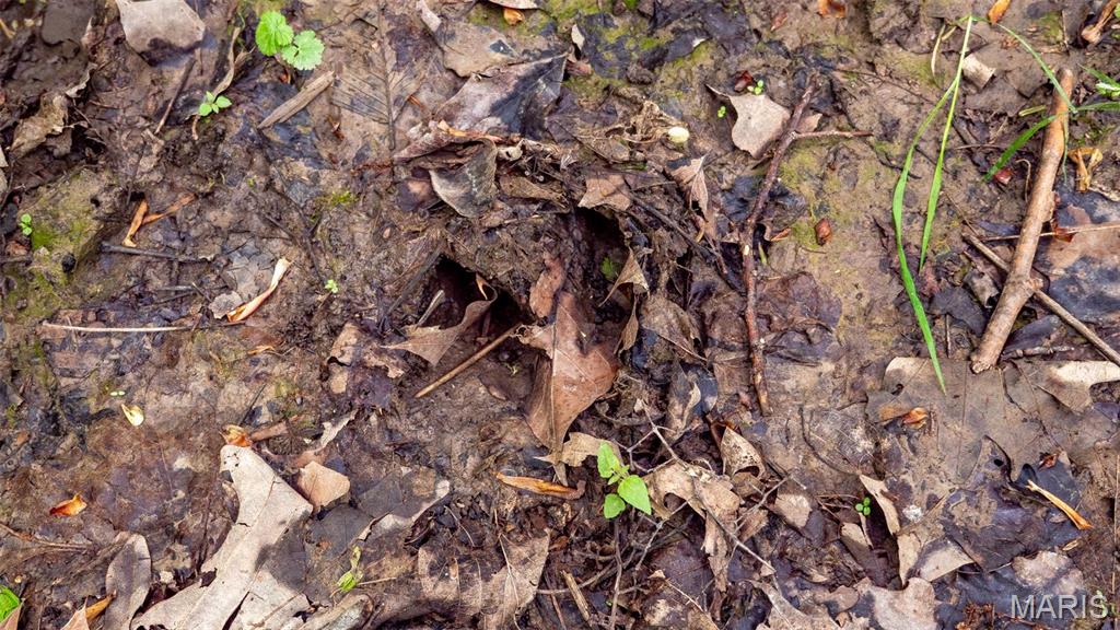 Homes for sale in Elsberry, MO | 0 Pebble Creek Dr, Elsberry, MO 63343 | MLS# MIS25028677