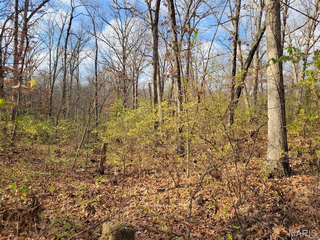 Homes for sale in Moscow Mills, MO | 0 Beach Cir, Moscow Mills, MO 63362 | MLS# MIS25029049