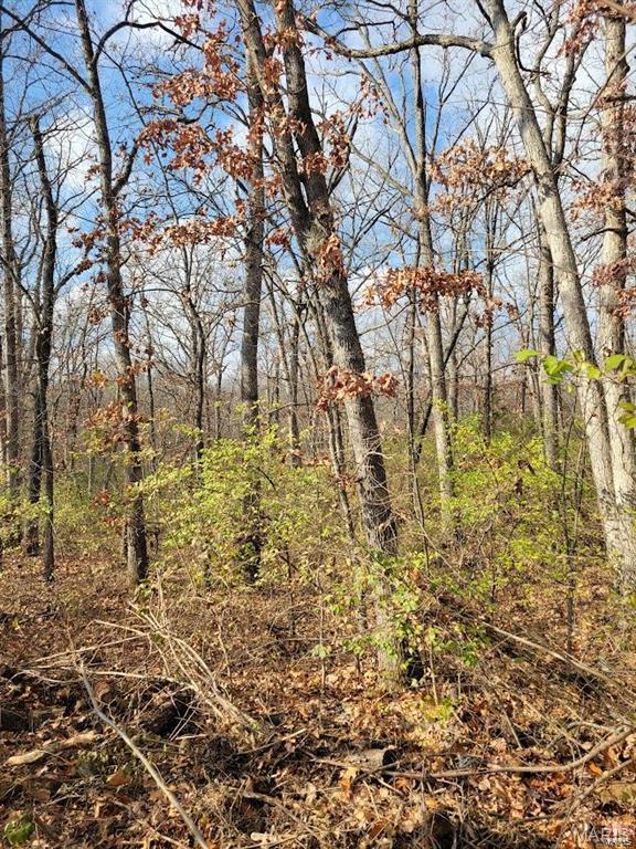 Homes for sale in Moscow Mills, MO | 0 Beach Cir, Moscow Mills, MO 63362 | MLS# MIS25029049