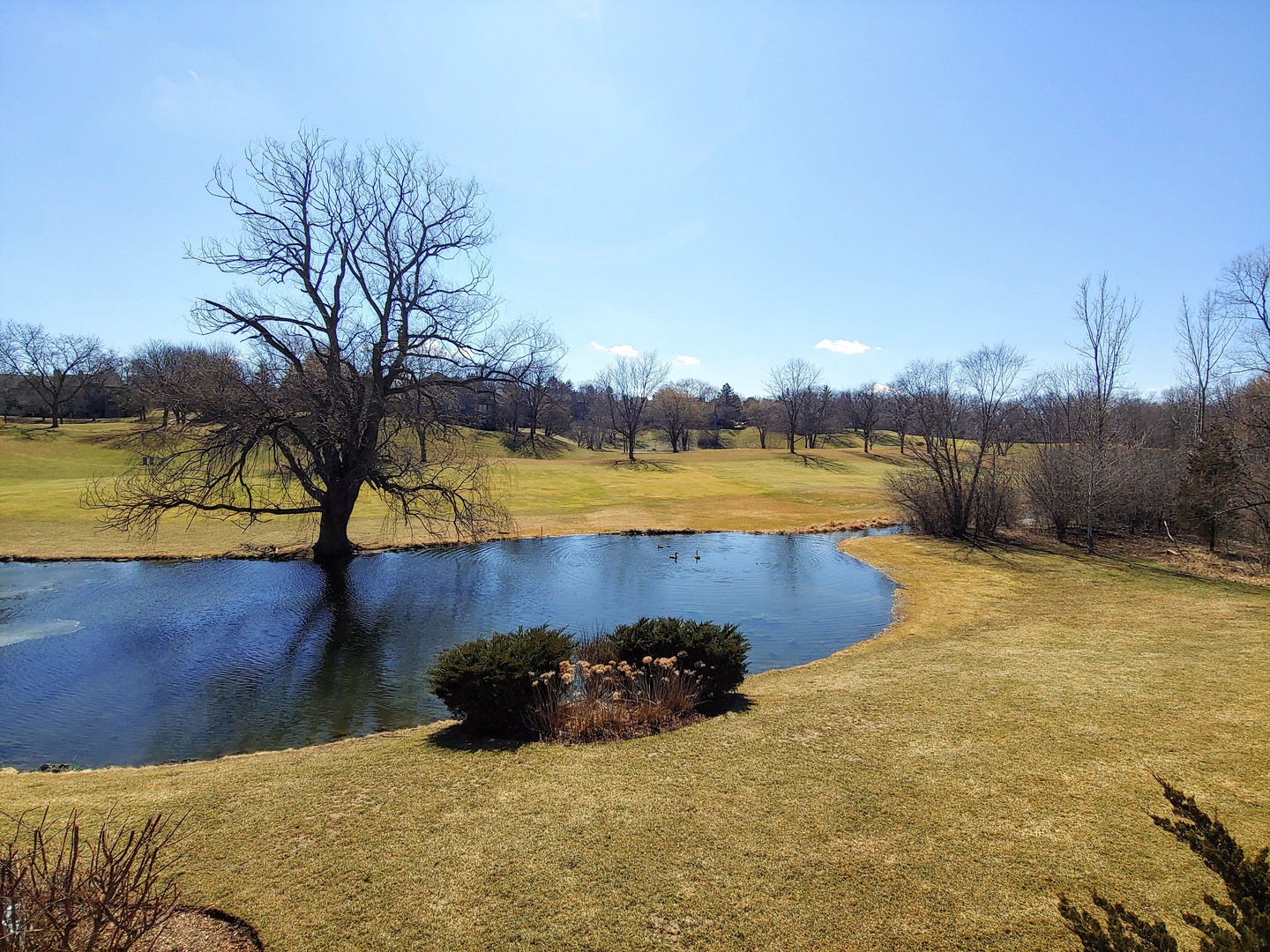 Homes for sale in Barrington, IL | 525 White Oak Ln #26525, Barrington, IL 60010 | MLS# 10279407
