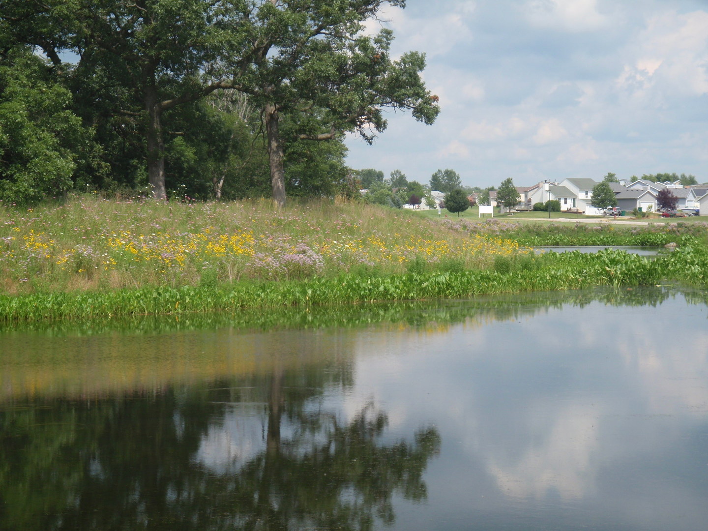 Homes for sale in Genoa, IL | 1001 Joel Ln, Genoa, IL 60135 | MLS# 11007667