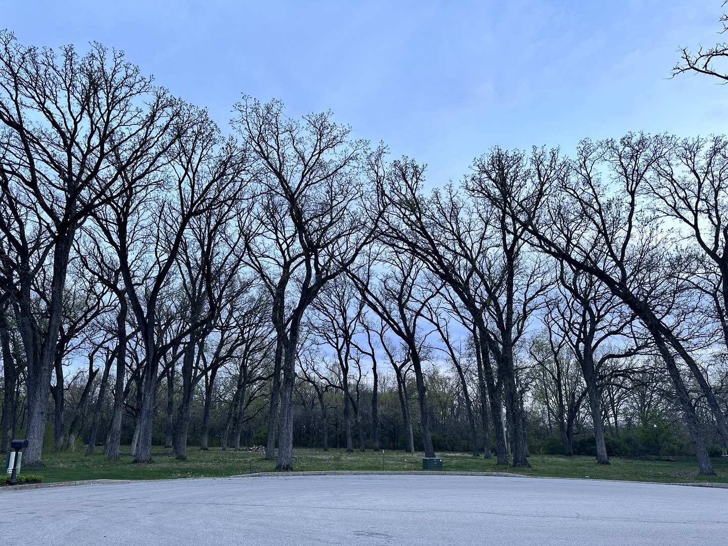 15th image of 12390 Oakcrest Dr, Huntley, IL 60142 | MLS# 12115839