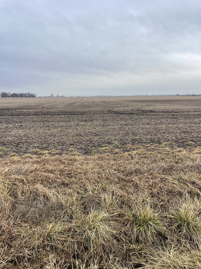 Homes for sale in Wilmington, IL | 00 W Commercial St, Wilmington, IL 60481 | MLS# 12323299