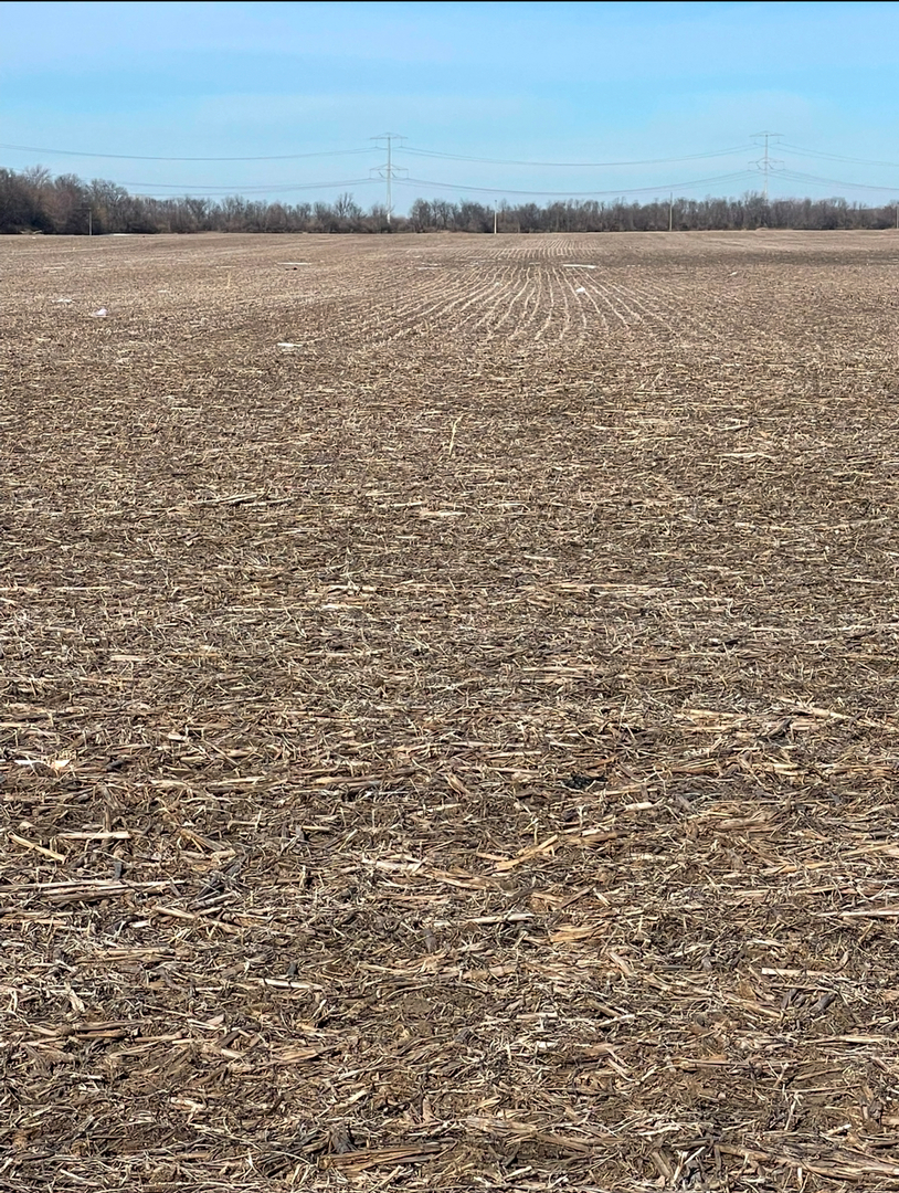 Homes for sale in Wilmington, IL | 00 W Commercial St, Wilmington, IL 60481 | MLS# 12323299