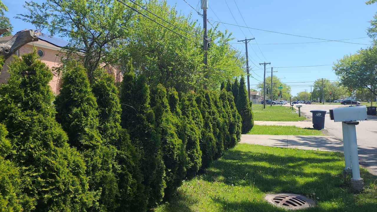 Homes for sale in Des Plaines, IL | 2550 E Church St, Des Plaines, IL 60016 | MLS# 12329871