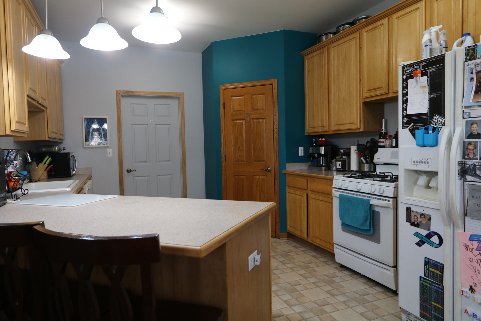 Homes for sale in Beecher, IL | 1053 Sycamore St, Beecher, IL 60401 | MLS# 12390081