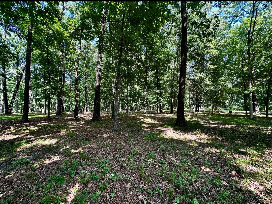Homes for sale in Pana, IL | 220 Beyers Lake Est, Pana, IL 62557 | MLS# 12405971