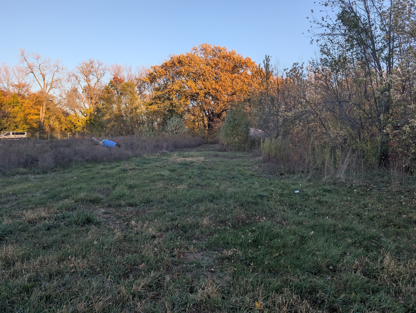 Homes for sale in Farmer City, IL | 510 N Grove St N, Farmer City, IL 61842 | MLS# 12511308