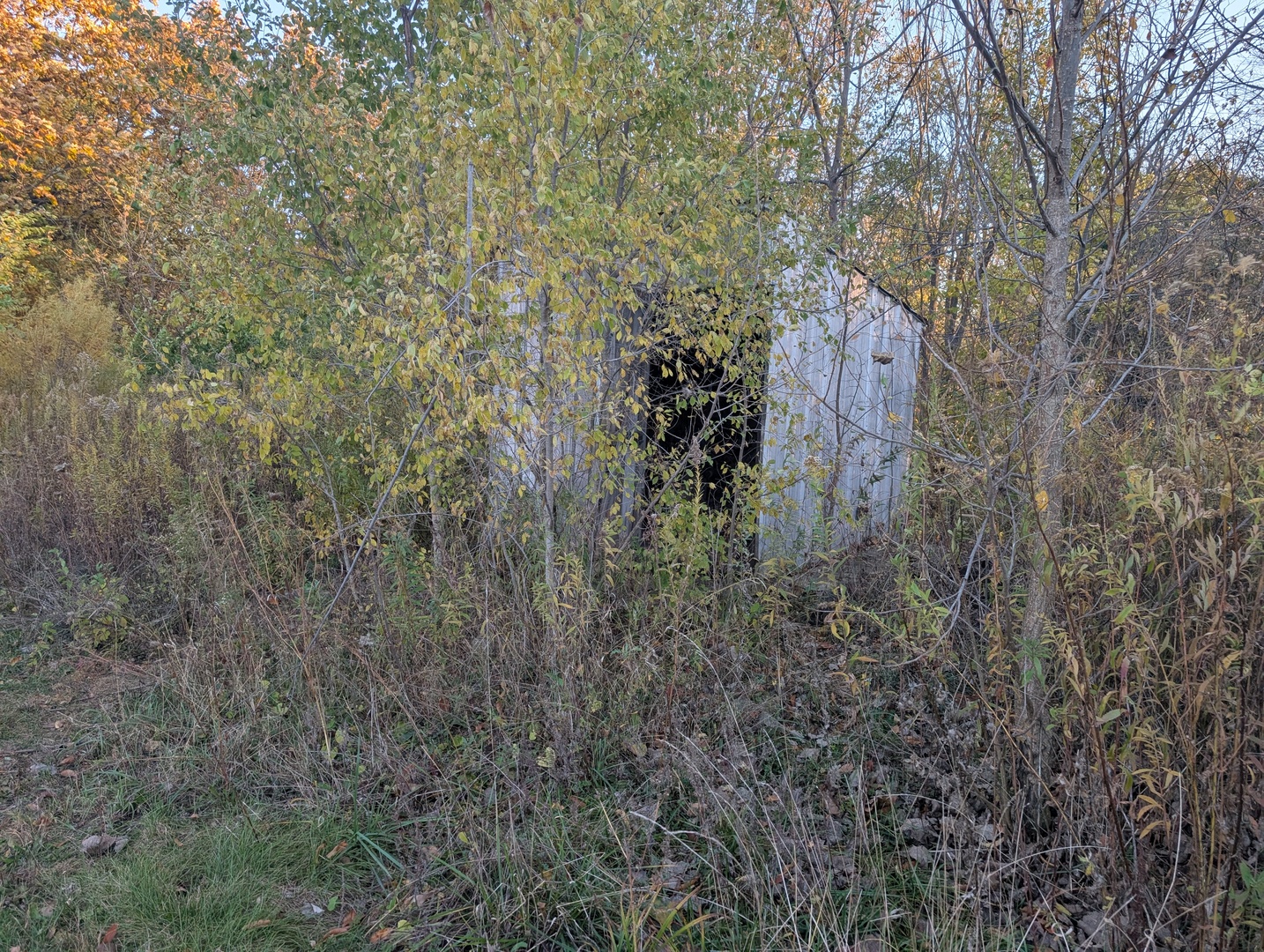 Homes for sale in Farmer City, IL | 510 N Grove St N, Farmer City, IL 61842 | MLS# 12511308