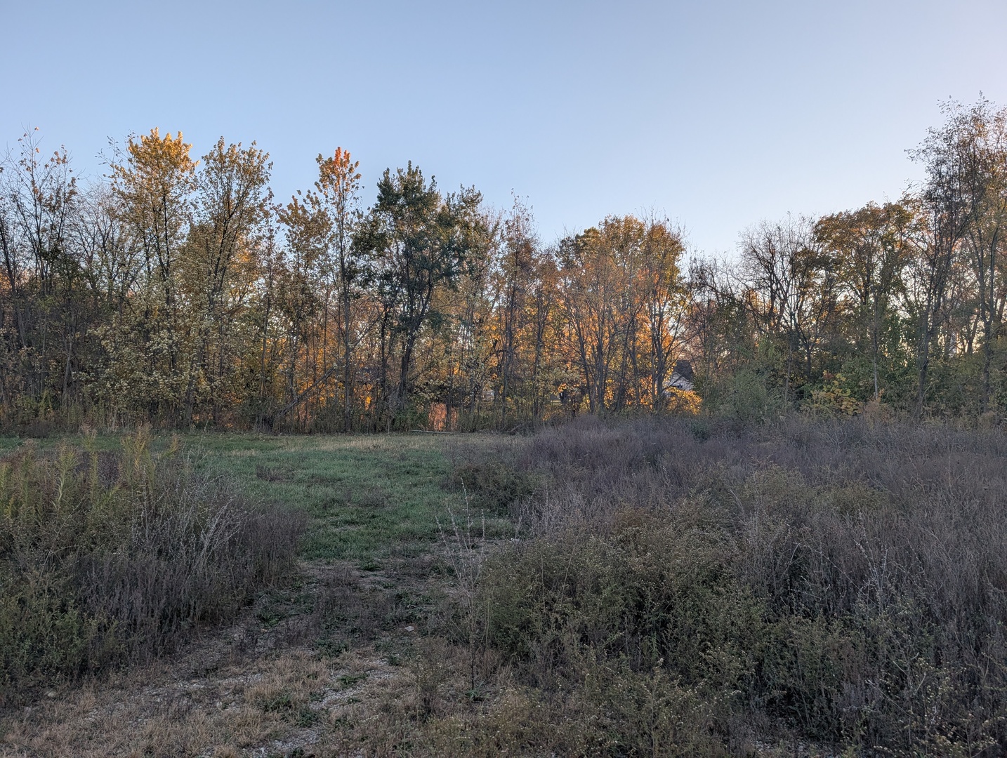 Homes for sale in Farmer City, IL | 510 N Grove St N, Farmer City, IL 61842 | MLS# 12511308