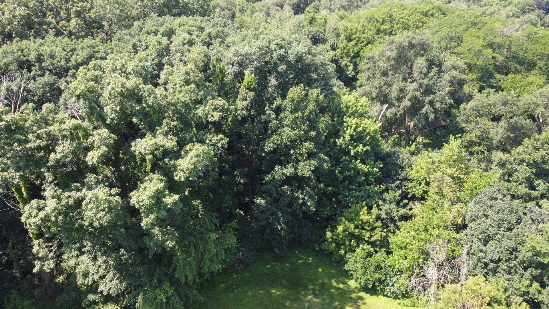 4th image of 35W247 Fox River Dr, St. Charles, IL 60174 | MLS# 12546412