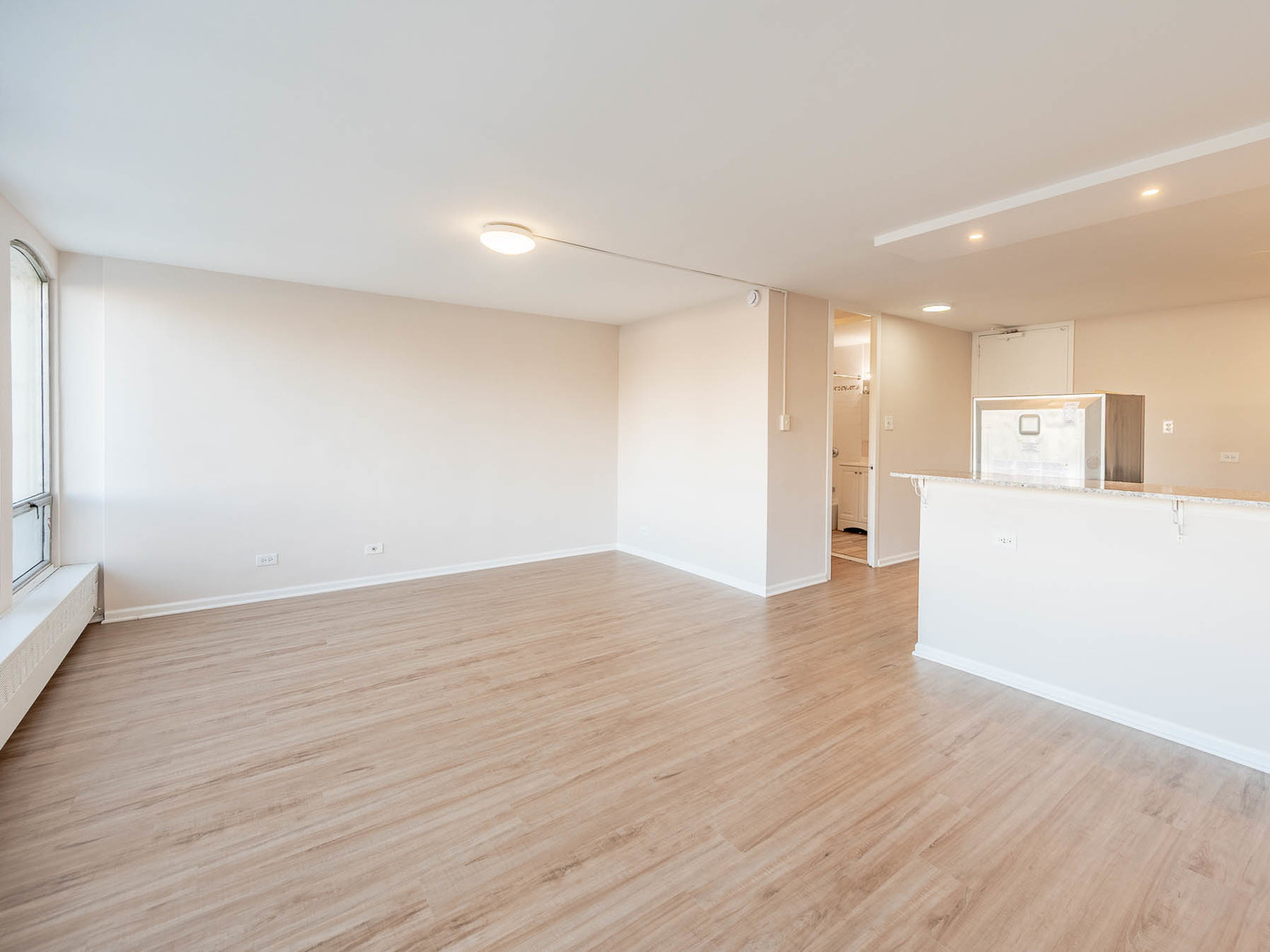 Homes for sale in Chicago, IL | 1401 E 55th Street, Chicago, IL 60615 | Houzeo