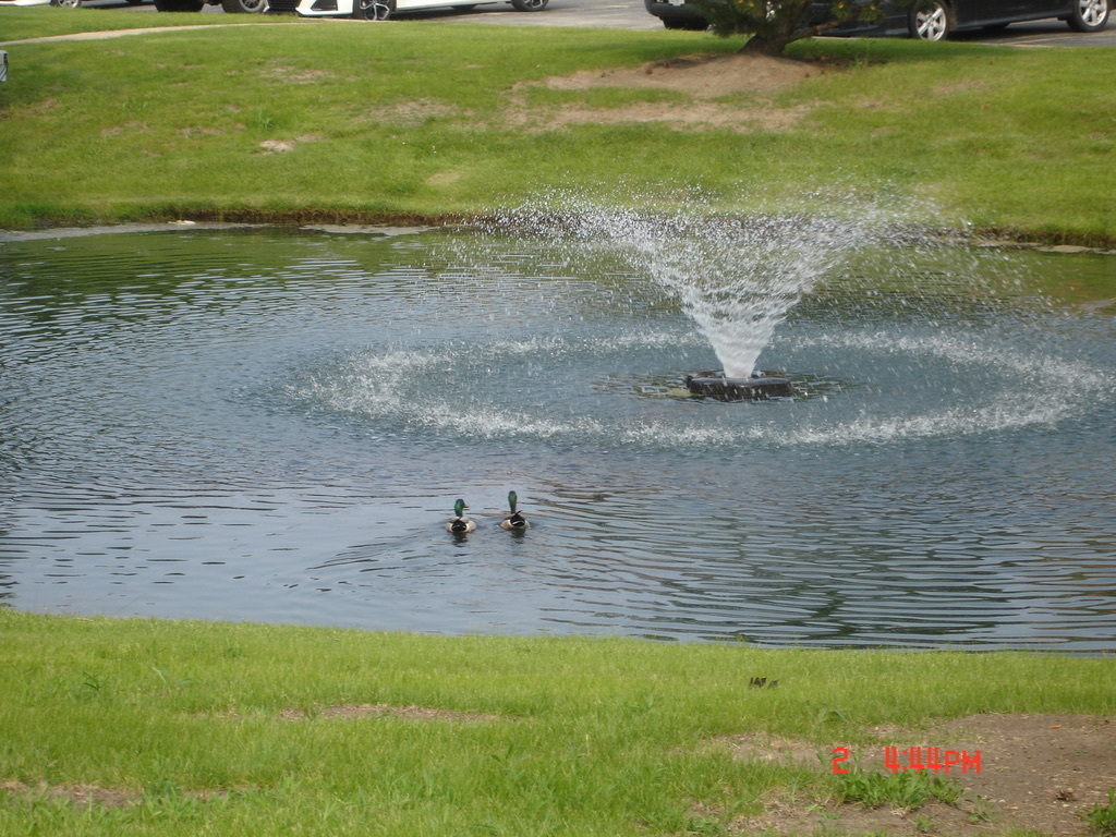 5th image of 708 N Briar Hl Ln, Addison, IL 60101