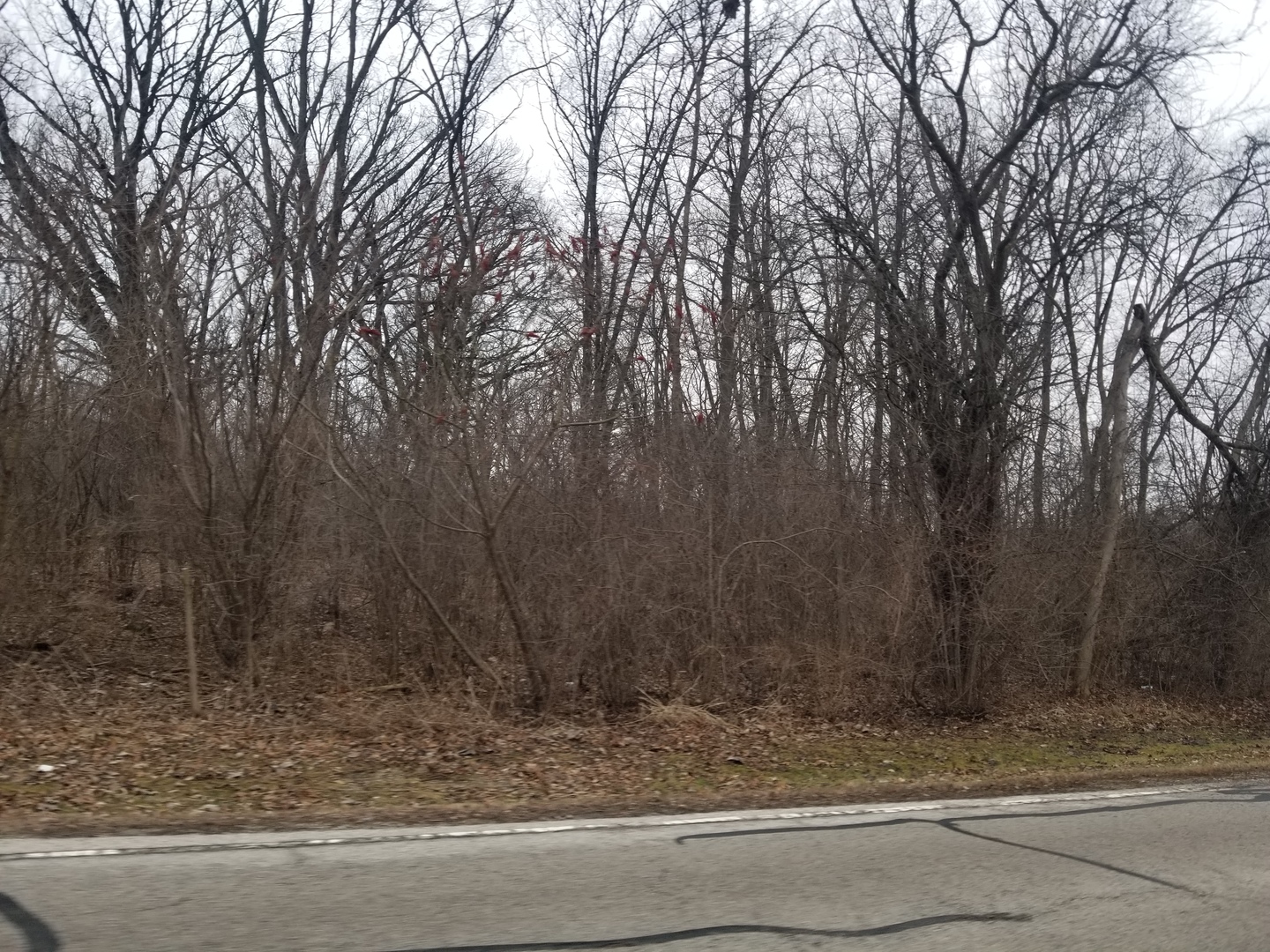 6th image of 1 St Charles Rd, West Chicago, IL 60185 | MLS# 12638600
