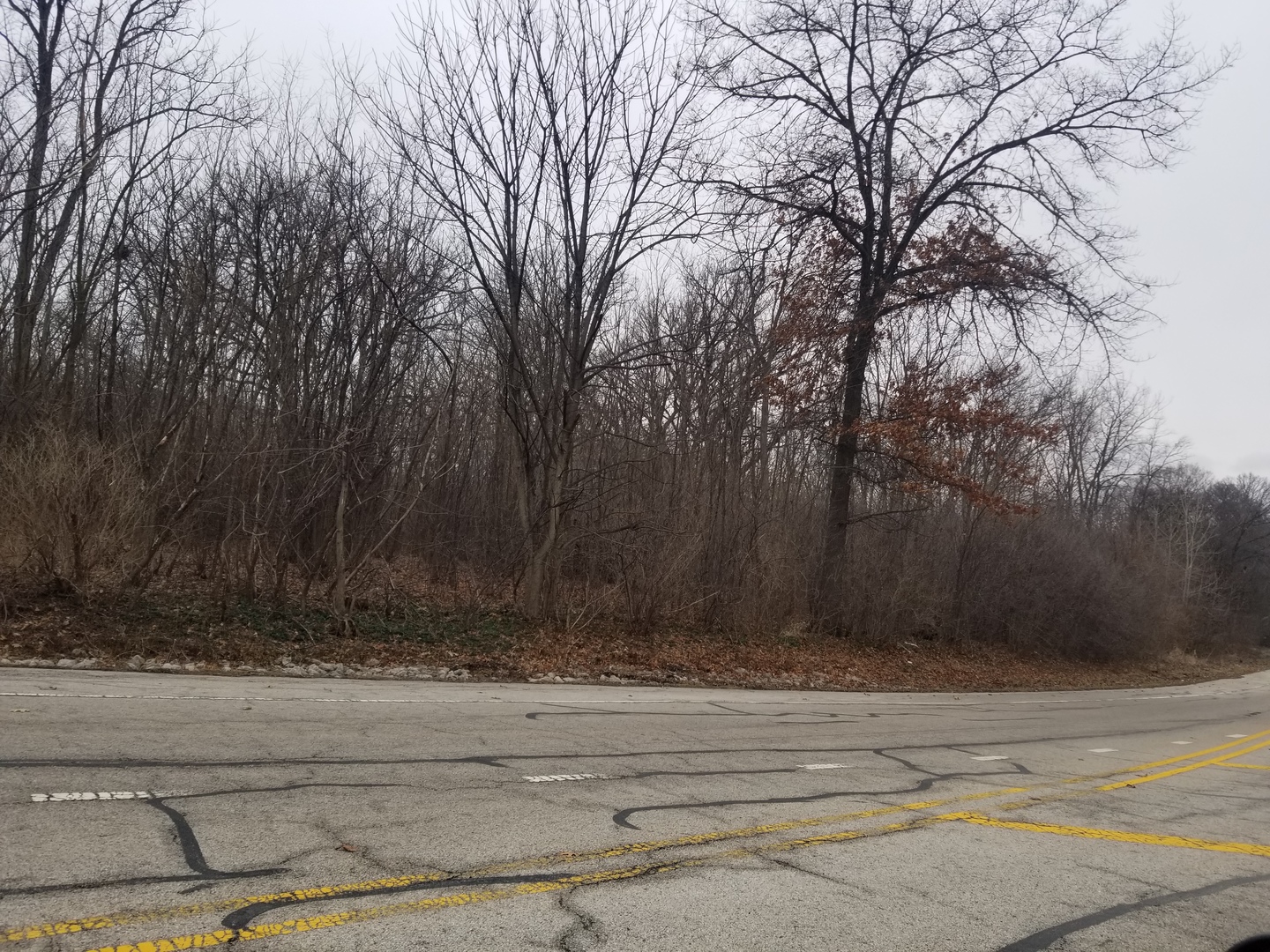 4th image of 1 St Charles Rd, West Chicago, IL 60185 | MLS# 12638600