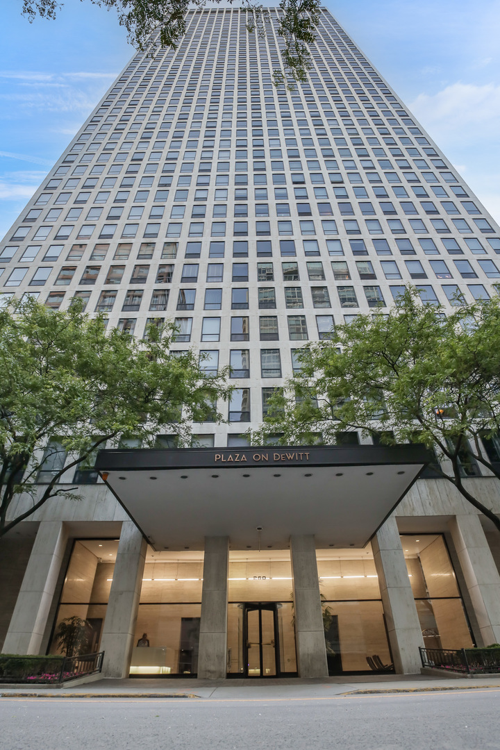 Homes for sale in Chicago, IL | 260 E Chestnut St, Chicago, IL 60611