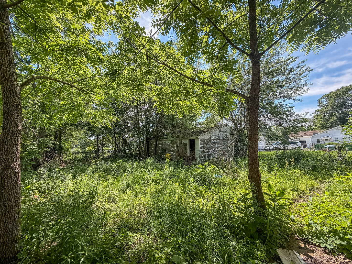 Homes for sale in Danville, IL | 3 N State St, Danville, IL 61832 | MLS# 12657776