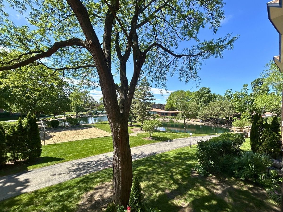 Homes for sale in Arlington Heights, IL | 1206 New Wilke Rd #206, Arlington Heights, IL 60005 | MLS# 12658056