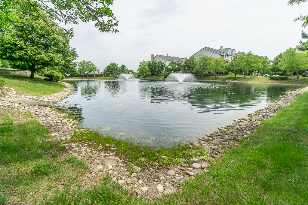 Homes for sale in Addison, IL | 1291 W Lake Street, Addison, IL 60101 | Houzeo