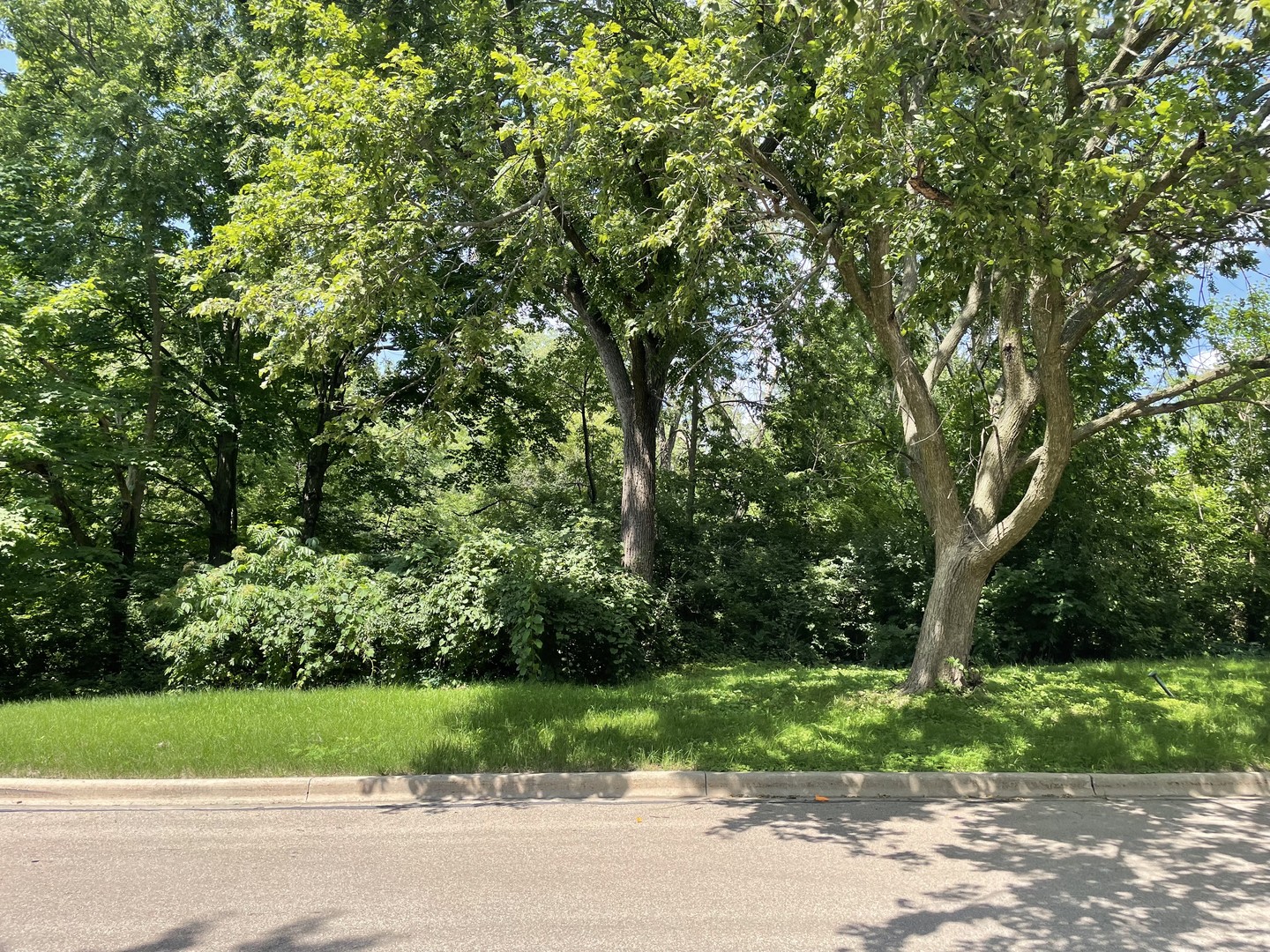 Homes for sale in Batavia, IL | Lot 4 Manchester Ave, Batavia, IL 60510 | MLS# 12663052