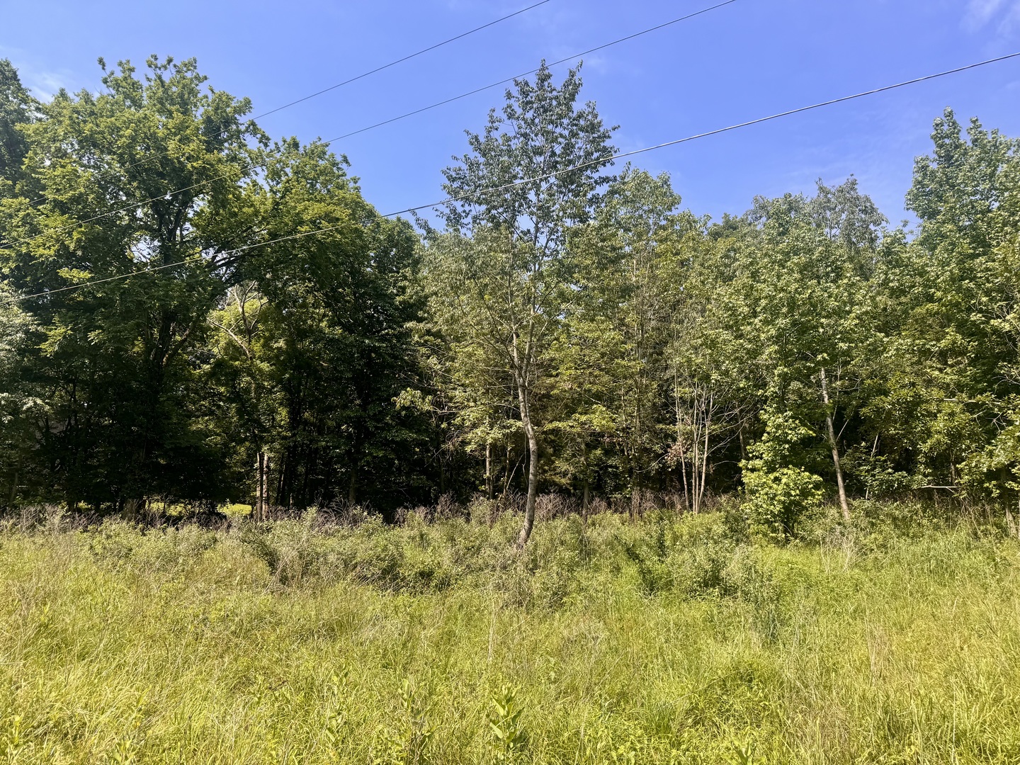 Homes for sale in Goreville, IL | 000 Shawnee Dr, Goreville, IL 62939 | MLS# 12664329