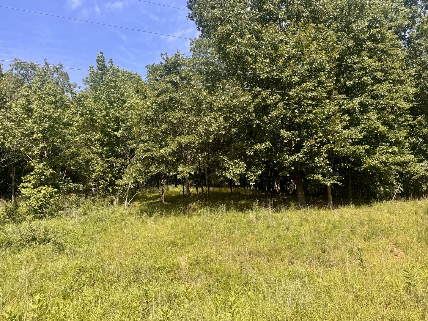 Homes for sale in Goreville, IL | 000 Shawnee Dr, Goreville, IL 62939 | MLS# 12664329