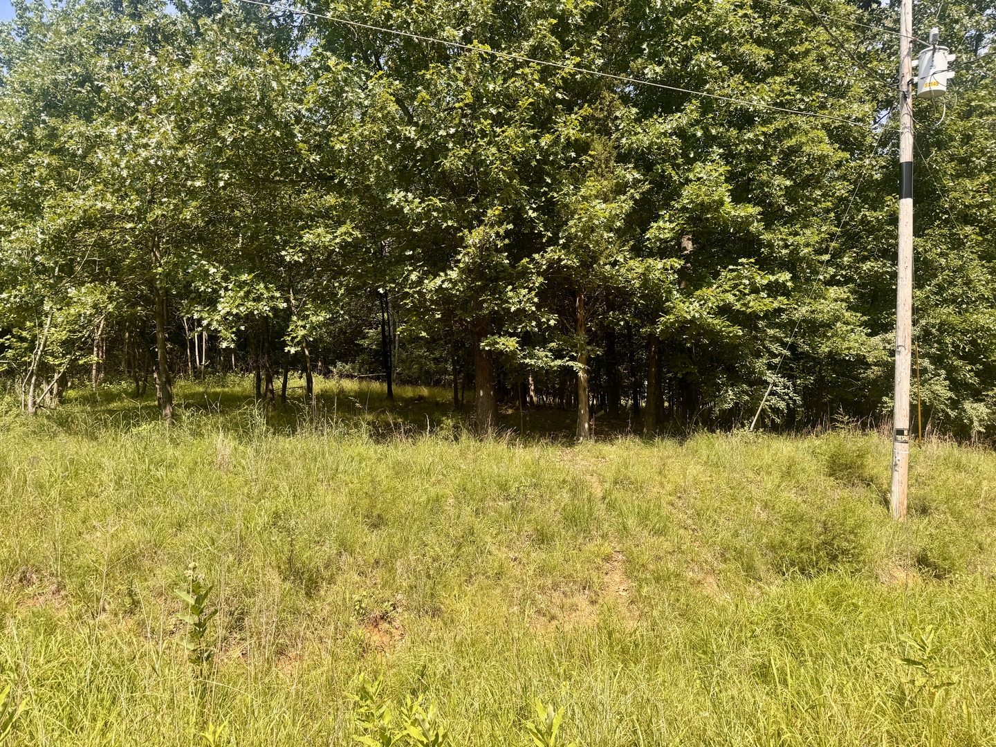 Homes for sale in Goreville, IL | 000 Shawnee Dr, Goreville, IL 62939 | MLS# 12664329