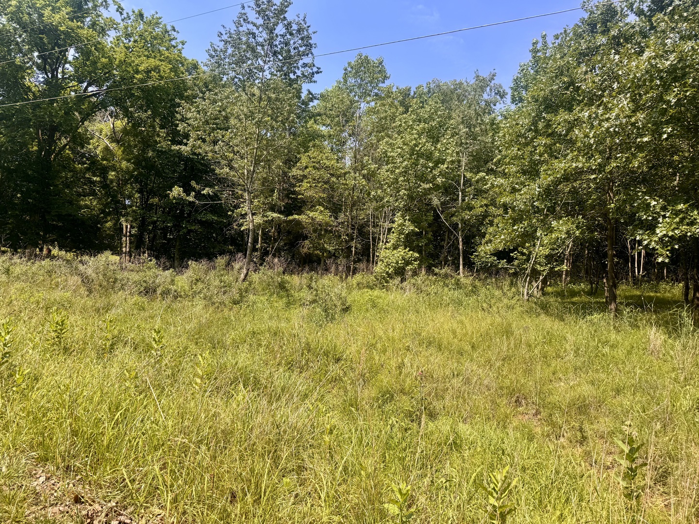 Homes for sale in Goreville, IL | 000 Shawnee Dr, Goreville, IL 62939 | MLS# 12664329