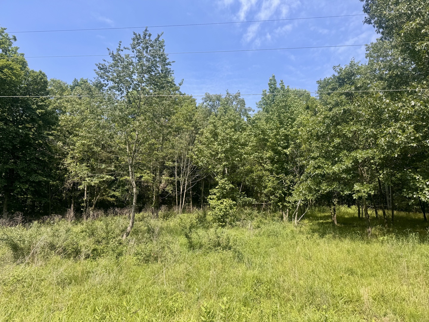 Homes for sale in Goreville, IL | 000 Shawnee Dr, Goreville, IL 62939 | MLS# 12664329
