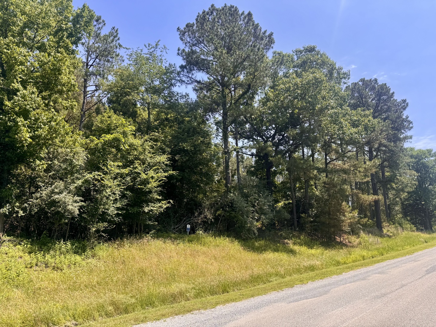 Homes for sale in Goreville, IL | Lot 273 & 274 Rocky Point Rd, Goreville, IL 62939 | MLS# 12665730
