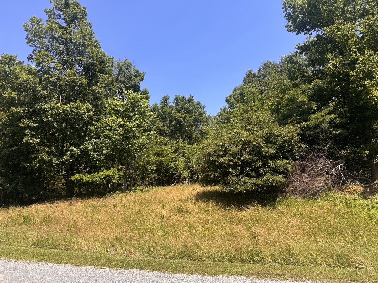 Homes for sale in Goreville, IL | Lot 273 & 274 Rocky Point Rd, Goreville, IL 62939 | MLS# 12665730