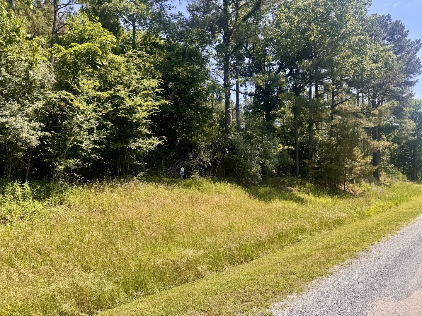 Homes for sale in Goreville, IL | Lot 273 & 274 Rocky Point Rd, Goreville, IL 62939 | MLS# 12665730