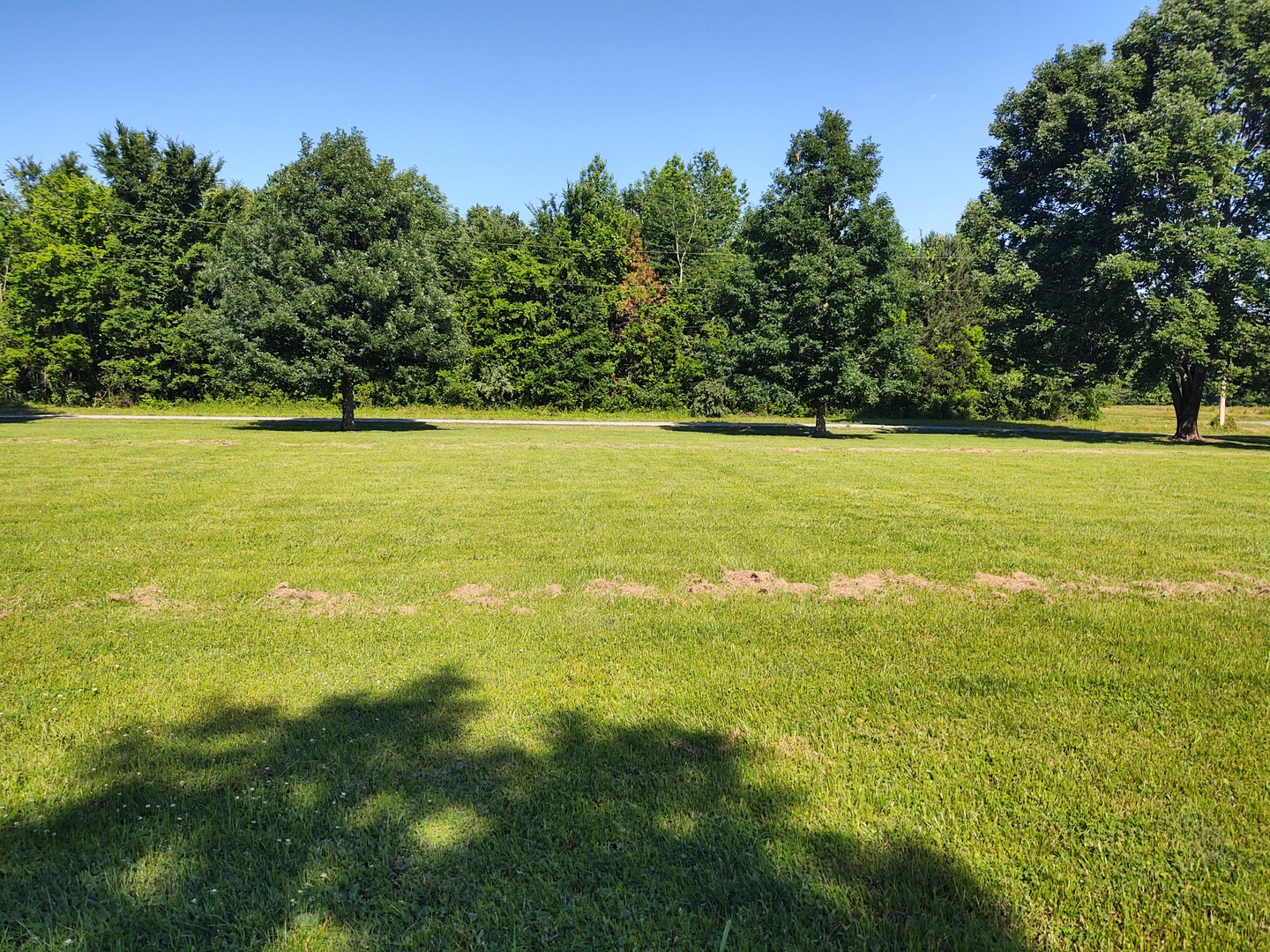 Homes for sale in Metropolis, IL | 3567 Cohoon Ln, Metropolis, IL 62960 | MLS# 12666724
