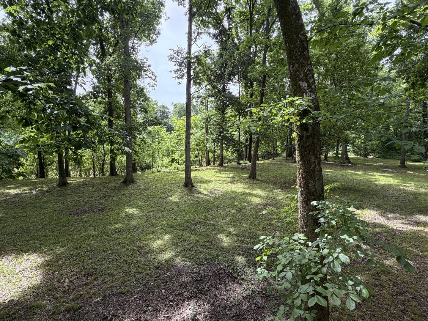 Homes for sale in Murphysboro, IL | 00 Shoemaker Dr, Murphysboro, IL 62966 | MLS# 12667446