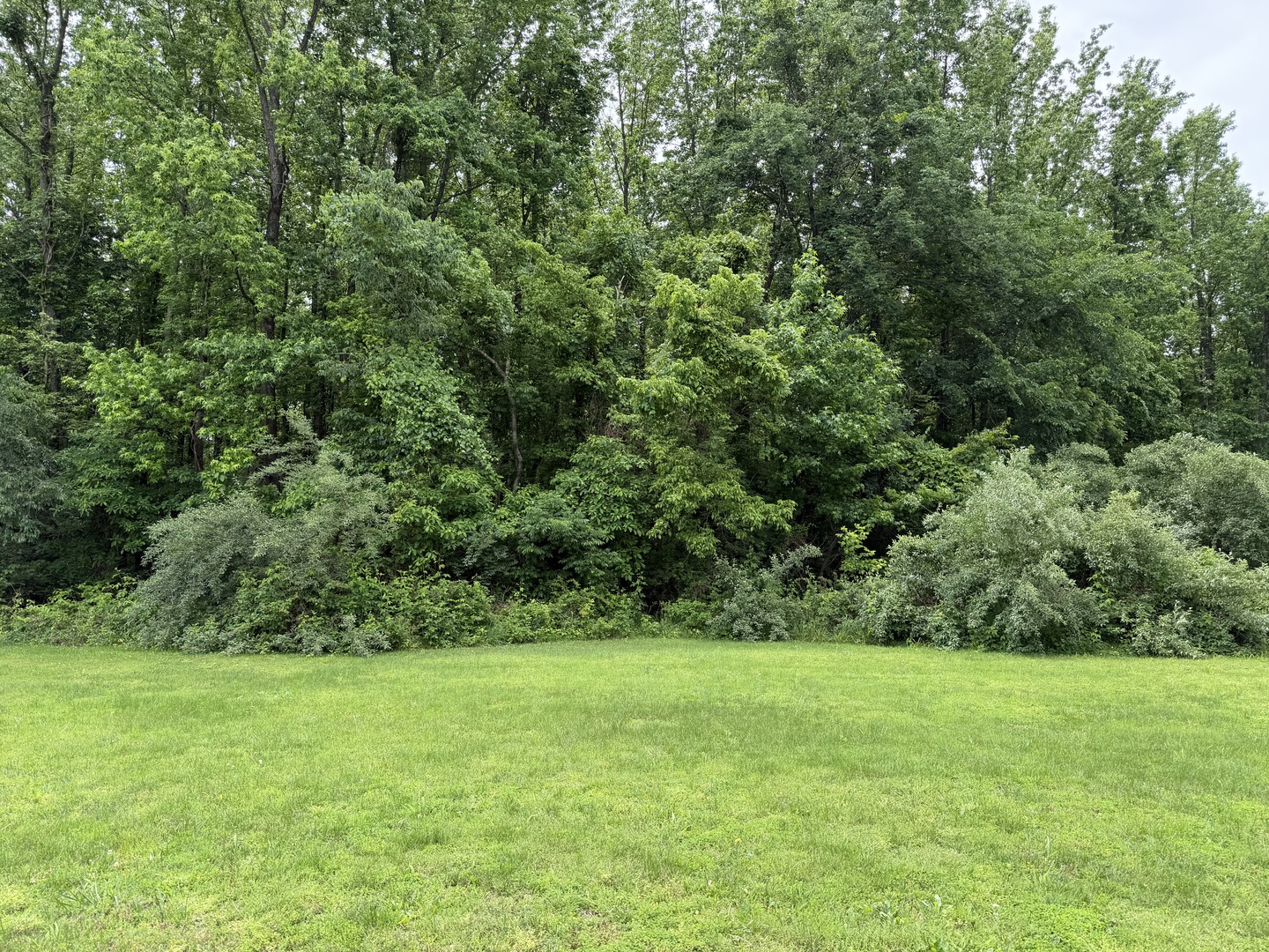 Homes for sale in Murphysboro, IL | 00 Shoemaker Dr, Murphysboro, IL 62966 | MLS# 12667446