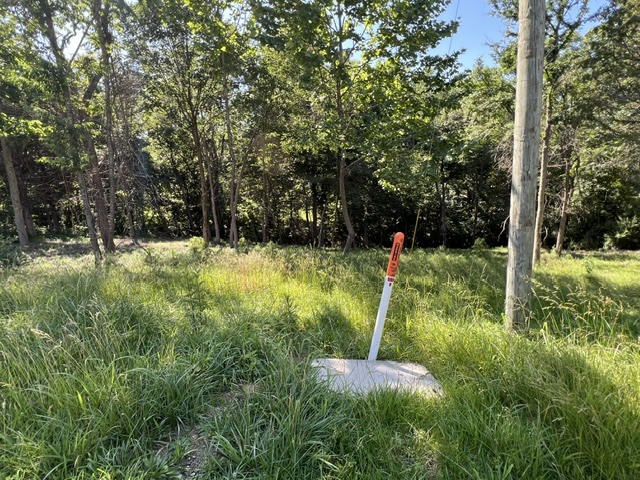 Homes for sale in Goreville, IL | Lot 1309 And 1310 Lakeshore Dr South, Goreville, IL 62959 | MLS# 12668199