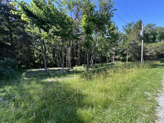 Homes for sale in Goreville, IL | Lot 1309 And 1310 Lakeshore Dr South, Goreville, IL 62959 | MLS# 12668199
