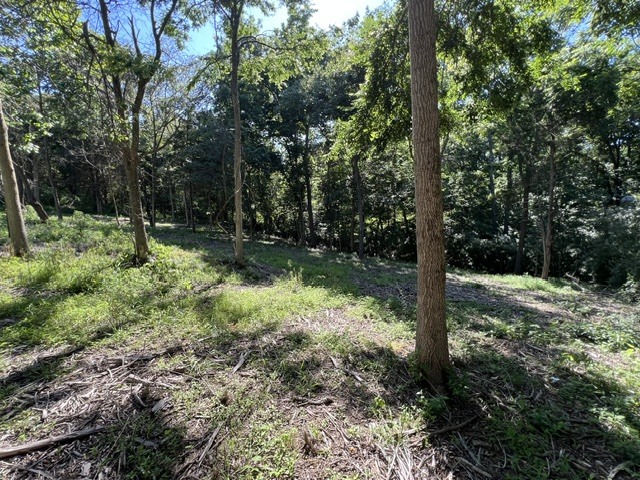 Homes for sale in Goreville, IL | Lot 1309 And 1310 Lakeshore Dr South, Goreville, IL 62959 | MLS# 12668199
