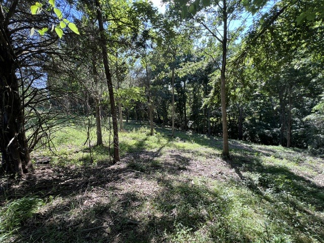 Homes for sale in Goreville, IL | Lot 1309 And 1310 Lakeshore Dr South, Goreville, IL 62959 | MLS# 12668199