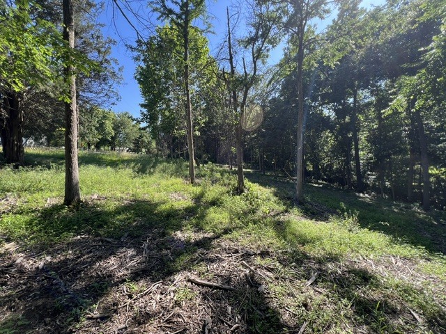 Homes for sale in Goreville, IL | Lot 1309 And 1310 Lakeshore Dr South, Goreville, IL 62959 | MLS# 12668199