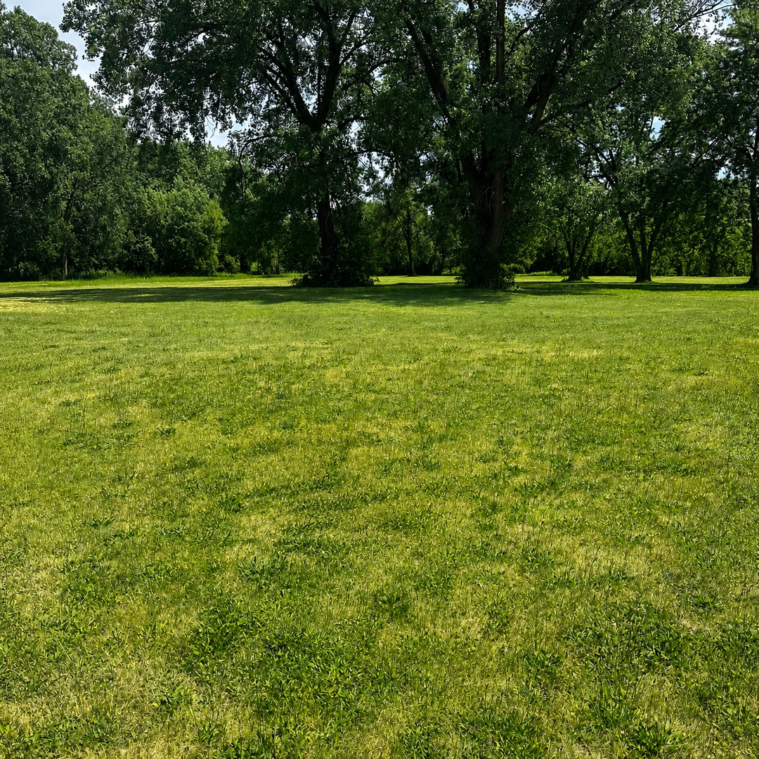 Homes for sale in Aurora, IL | 0000 Grove St, Aurora, IL 60505 | MLS# 12669863