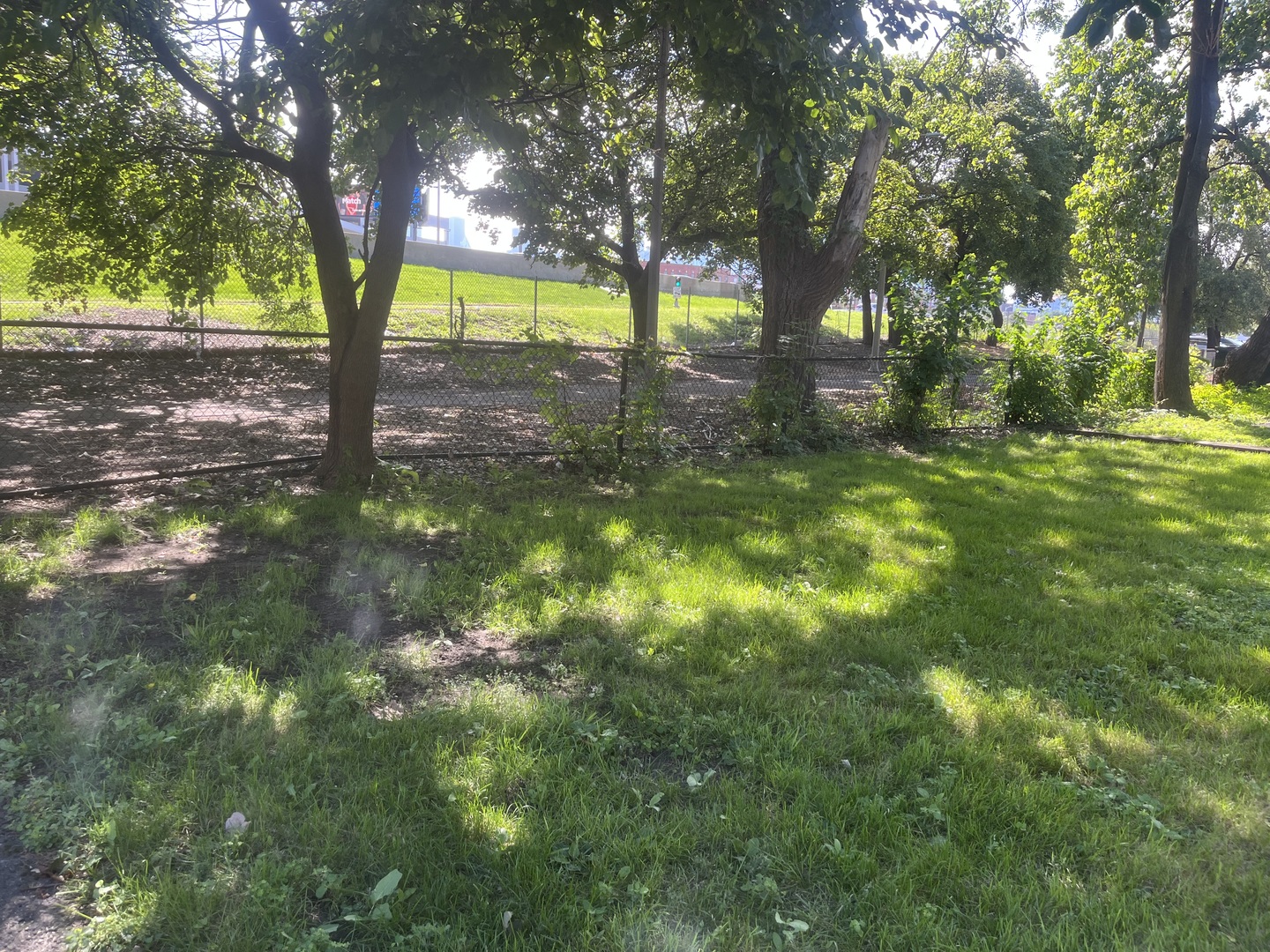 Homes for sale in Chicago, IL | 1337 W Haddon Ave, Chicago, IL 60622 | MLS# 12670485